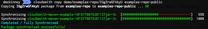 cloudsmith copy CLI example