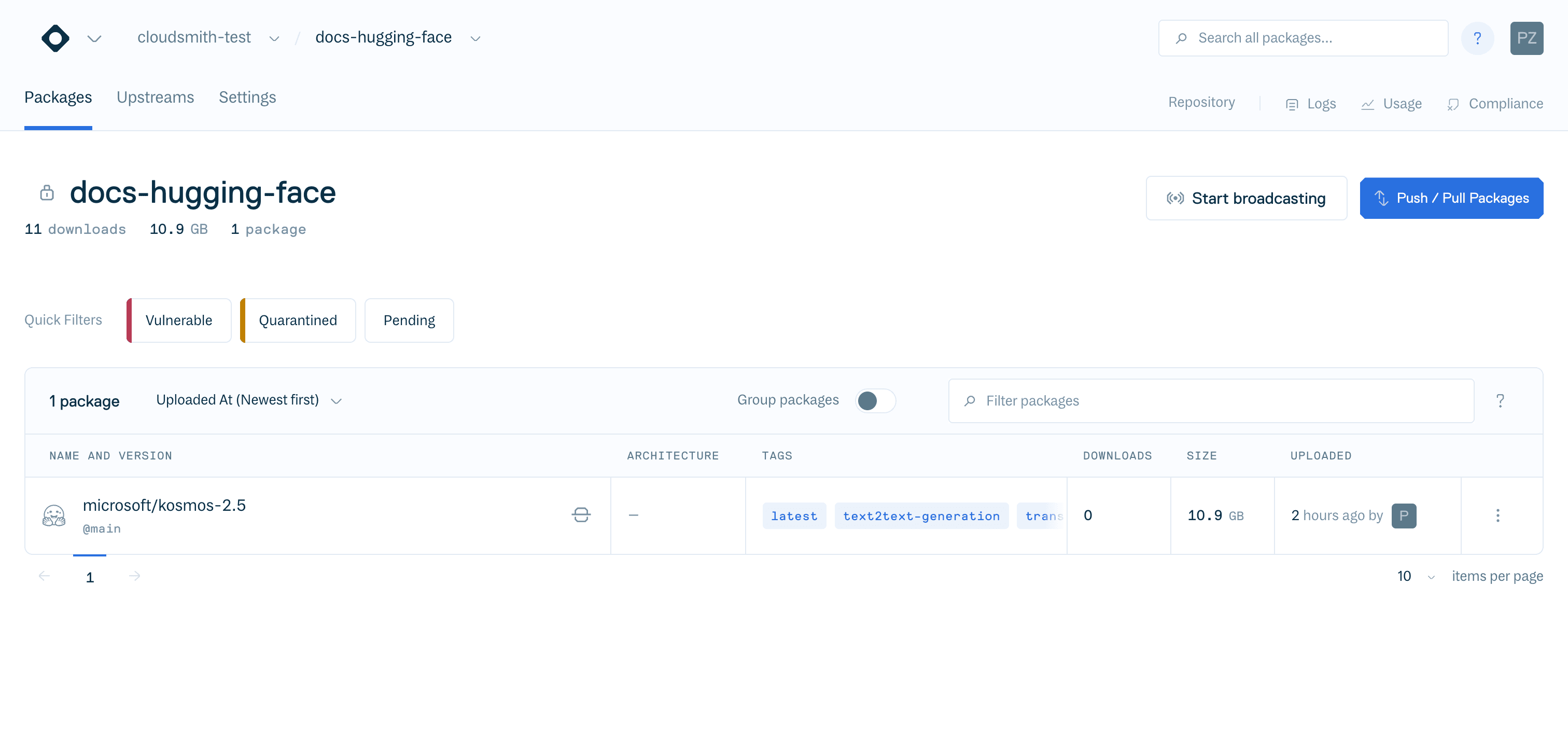 The uploaded Hugging Face model listed in a Cloudsmith repository