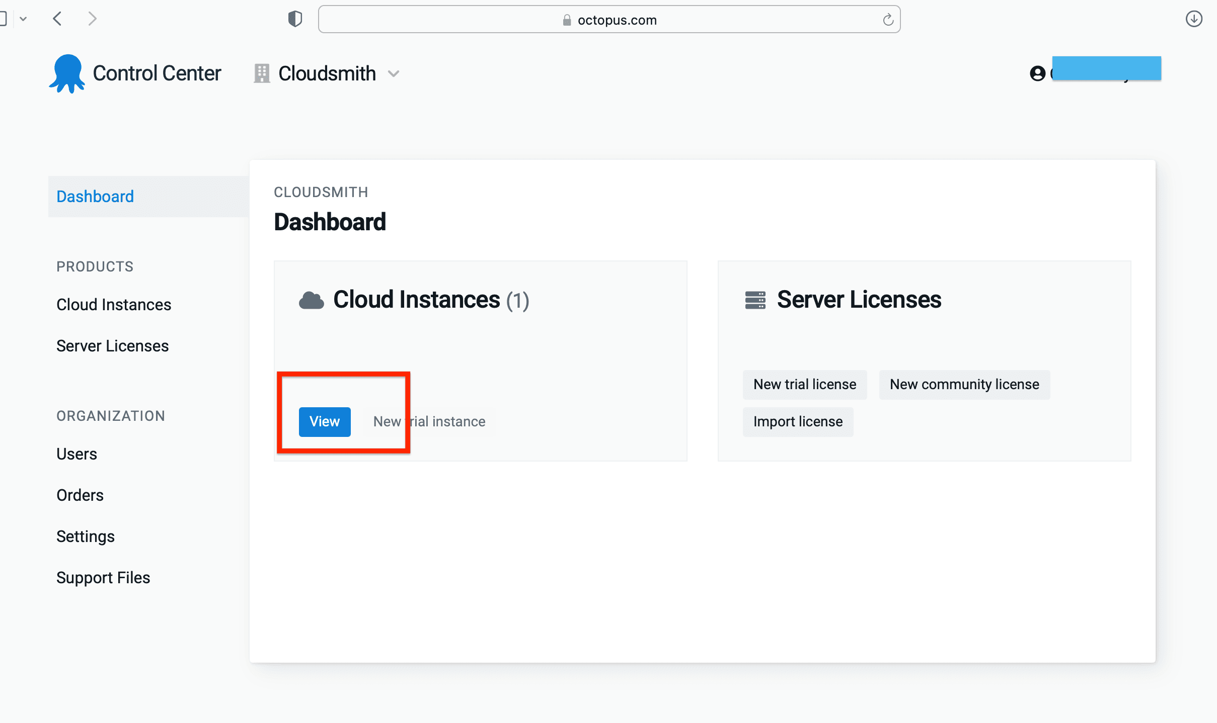 The View button used to open your Octopus Cloud instance