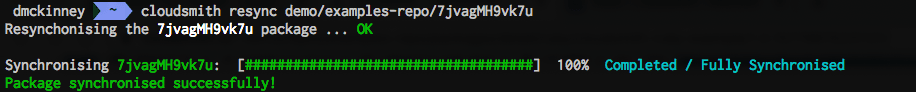 Terminal output identifying the package to resynchronize by its unique ID