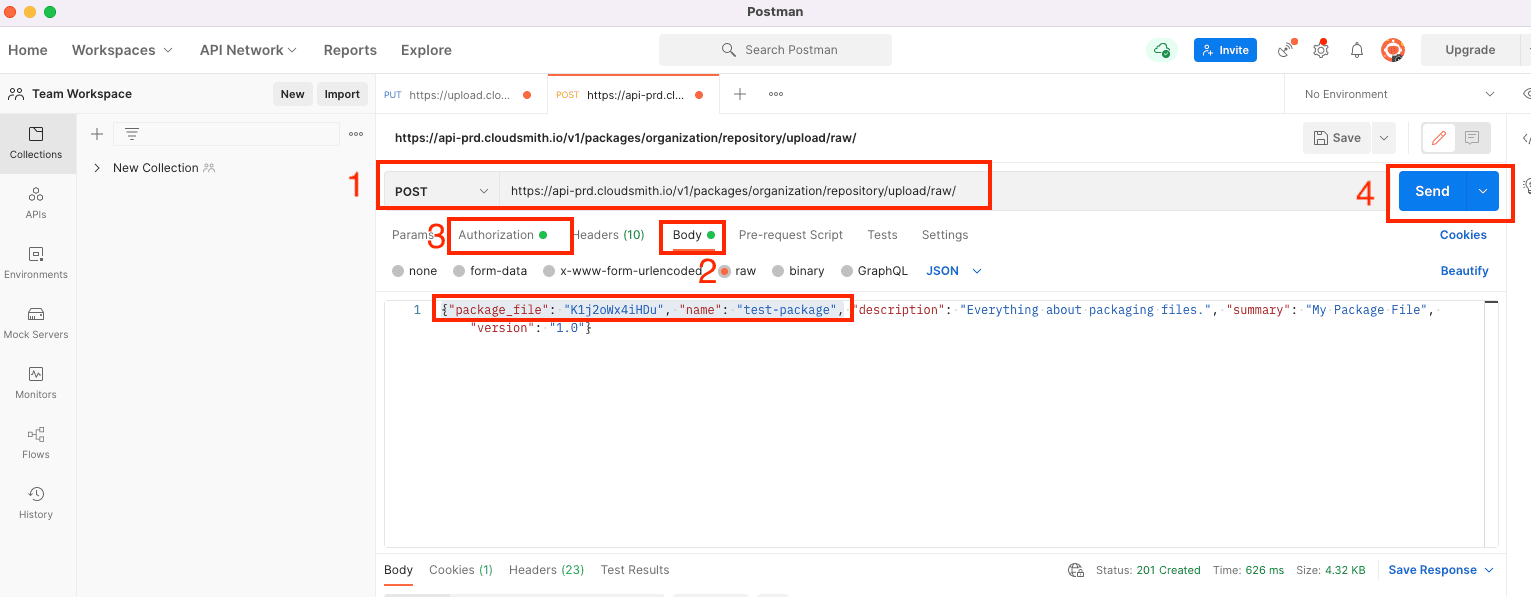 A Postman POST request creating a Raw package from the uploaded file