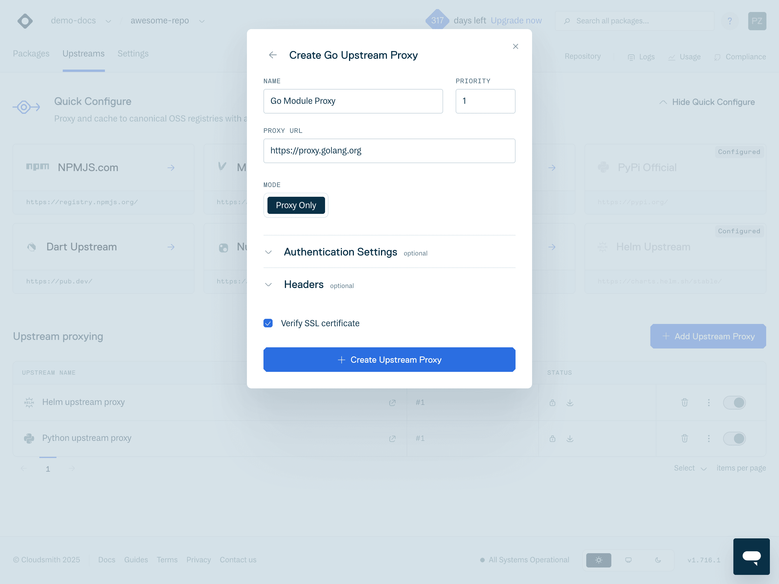 The upstream configuration form for a Go module proxy