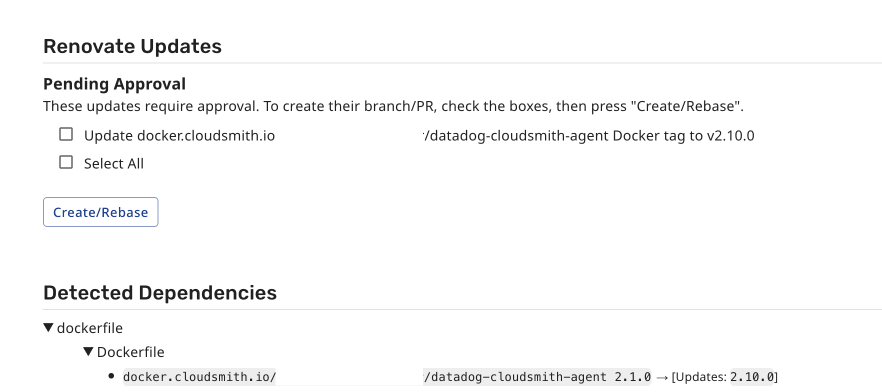 Renovate detecting a newer Docker image version in Cloudsmith