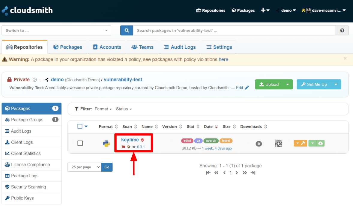Policy Violation Indicators