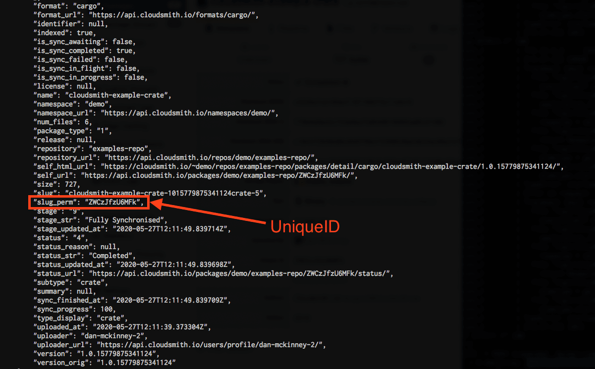 list packages JSON output