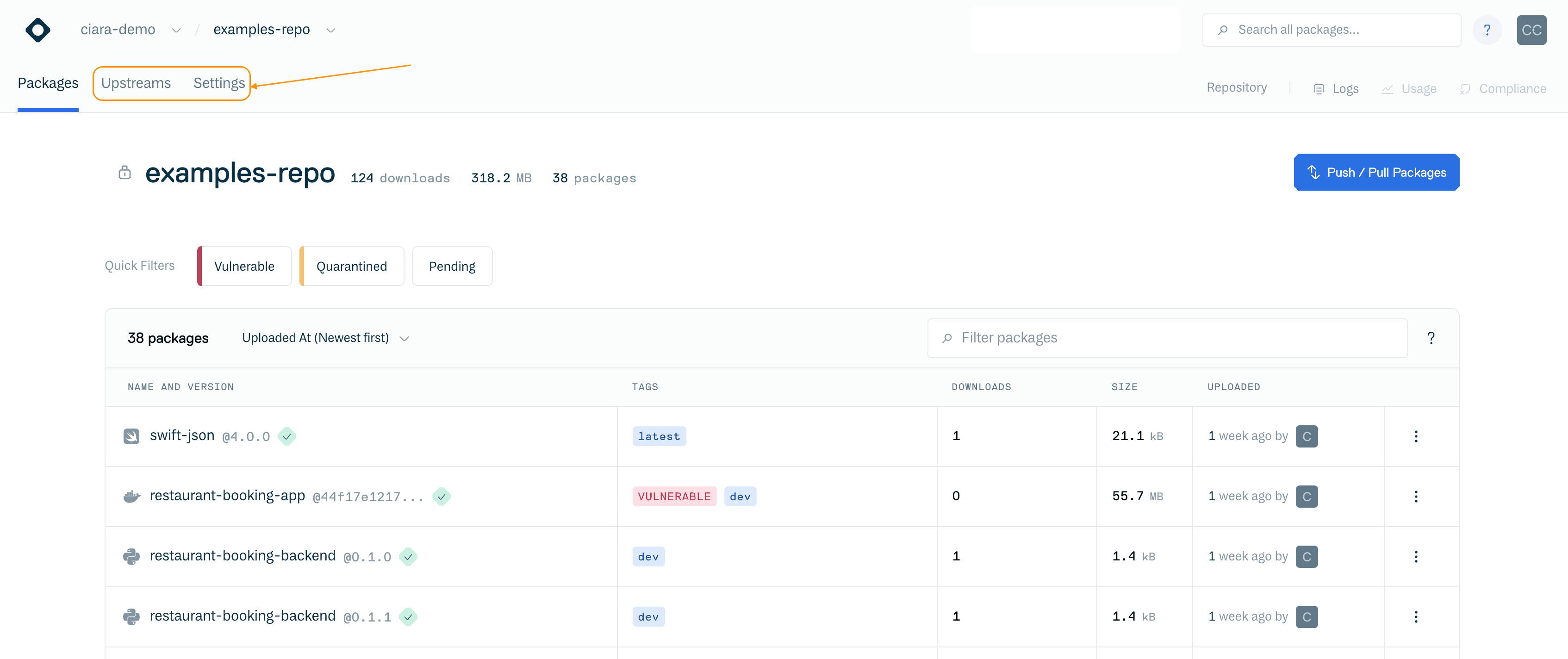 Repository Settings