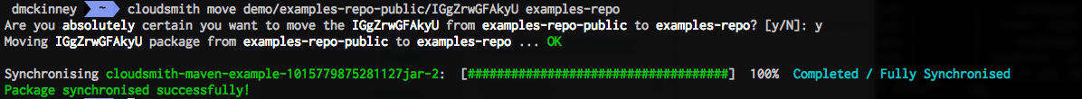 Move package CLI example