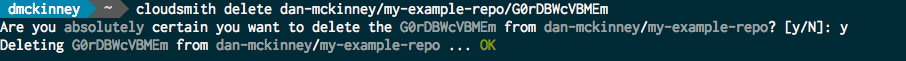 cloudsmith delete CLI example