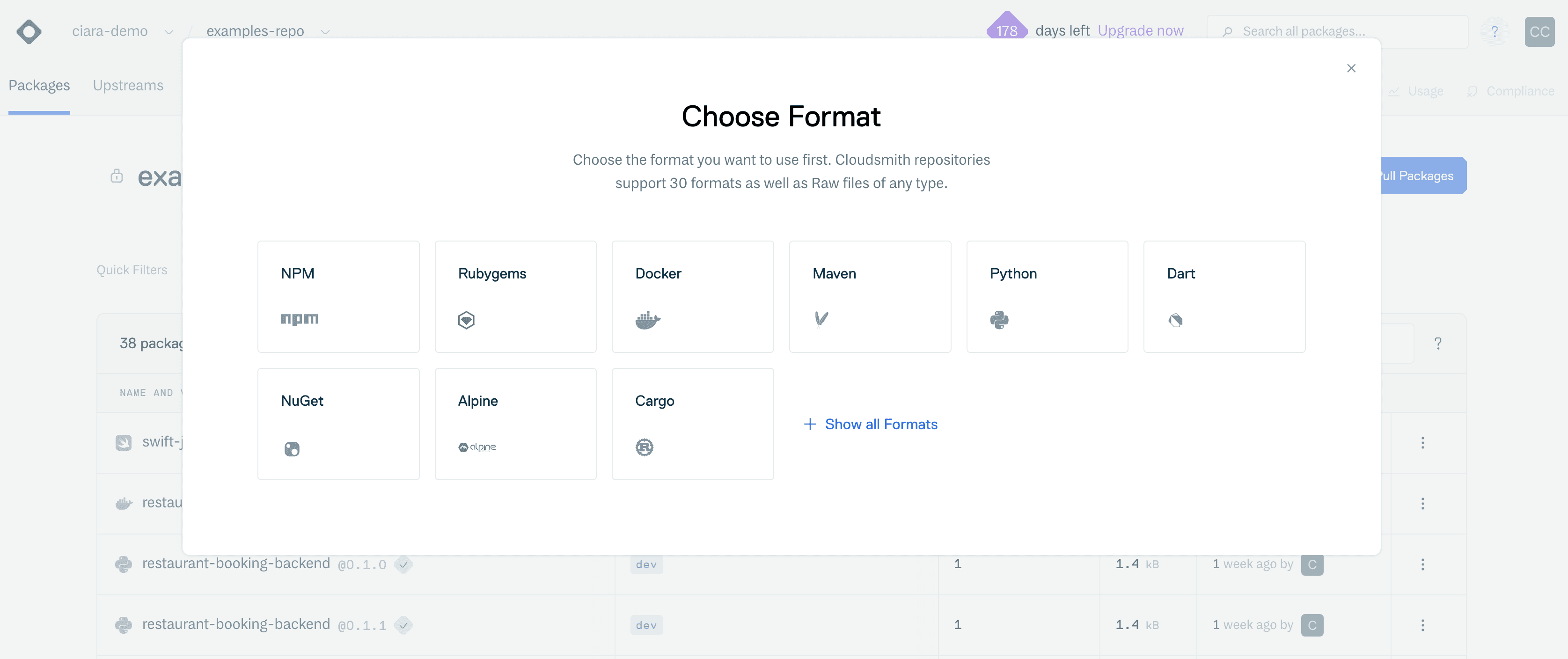 Setup guides for native package managers